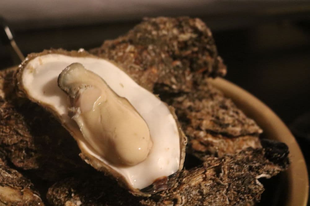 三陸沖・広田湾産牡蠣