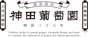 kanda_logo-1.png
