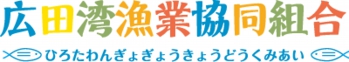 広田湾漁協