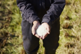 「たかたのゆめ」ブランド化研究会